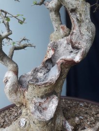 Em là Hồng Quân núi...