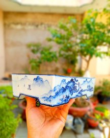 Tích thiên hạ hữu tình nhân