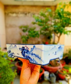 Tích thiên hạ hữu tình nhân