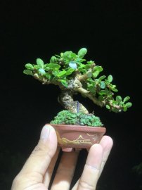 Nhỏ thôi nhưng cưng lắm