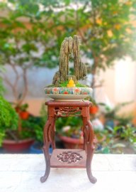 Non bộ mini thu nhỏ decor bàn trà...
