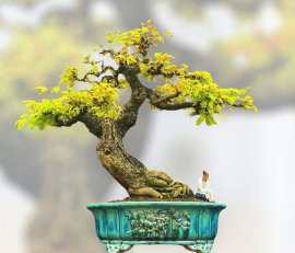Hàng tồn kho ạ❤️❤️❤️❤️❤️