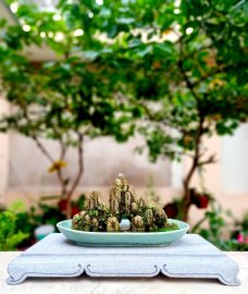 Tác phẩm đá tự nhiên nguyên khối