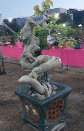 Bodhi bonsai tree artwork