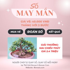 Hướng dẫn dự đoán số may mắn