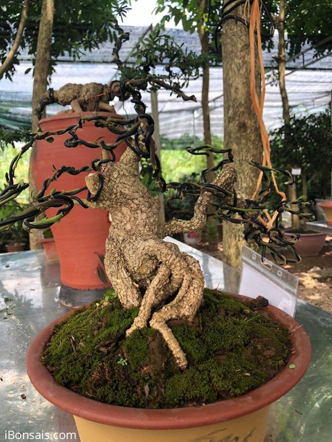 Tác phẩm cần thăng