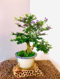 Nguyên ngày nay chỉ dành thời gian để đóng mấy TP tặng mà ko xong