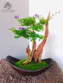 Nguyên ngày nay chỉ dành thời gian để đóng mấy TP tặng mà ko xong