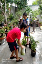 Vì lợi ích 10 năm trồng cây