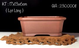 GIAO LƯU ANH/EM 1 SỐ MẪU CHẬU