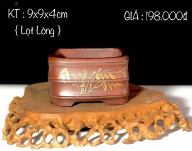 GIAO LƯU ANH/EM 1 SỐ MẪU CHẬU