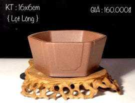 GIAO LƯU ANH/EM 1 SỐ MẪU CHẬU