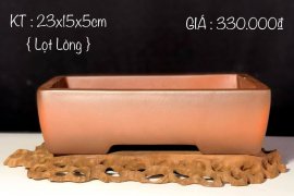 GIAO LƯU ANH/EM 1 SỐ MẪU CHẬU
