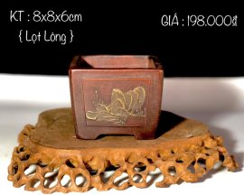 GIAO LƯU ANH/EM 1 SỐ MẪU CHẬU