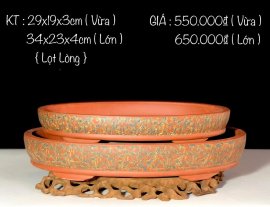 GIAO LƯU ANH/EM 1 SỐ MẪU CHẬU