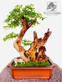 Tác phẩm: Tam Sơn Nhất Mộc