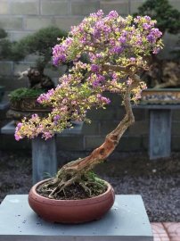 Hàng tồn kho nhà e