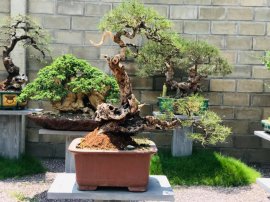 Hàng tồn kho nhà e