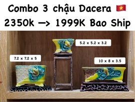 Chậu Duy Anh Ceramics GL Anh Em