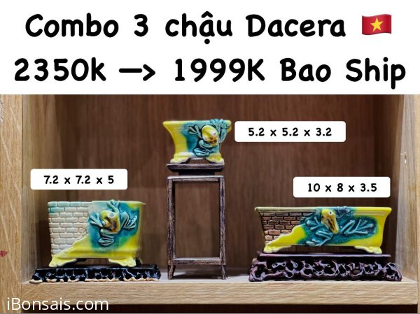 Chậu Duy Anh Ceramics GL Anh Em