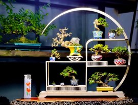 Cái kệ mình ước ao… Và bây giờ nó đã thành sự thật dồi