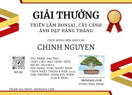 Vietnamese water jasmine artwork