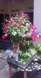 Tác phẩm hoa giấy