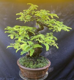 Me chua già chát khoe bộ áo mới