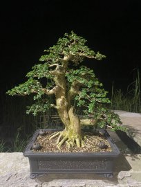 Chia sẻ , giao lưu