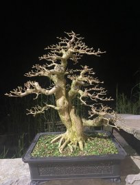Chia sẻ , giao lưu