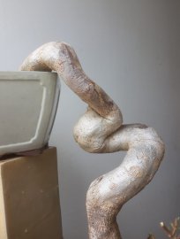 Em Giấy Mỹ zin đổ treo...