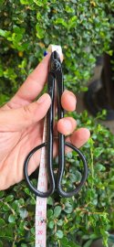 Kéo cắt dây nhôm kẽm bonsai, size16 đã qua sử dụng còn rất đẹp