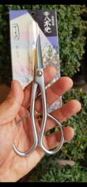 Còn duy nhất Kéo tỉa thép trắng  có độ kháng rỉ cao,size16