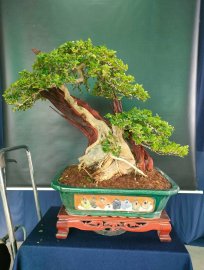 Sale off sale off sập sàn, mời các anh chị vào xem live ủng hộ ạ!