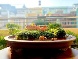 Một chút bình dị mộc mạc giữa lòng Sài Gòn hoa lệ