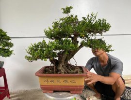 Hải châu sông cầu rin trái kín cây giao lưu cả nhà