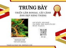 Trắc nghệ lũa đẹp ạ❤️