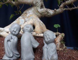 Em là Đề Trắng ( Lâm Vồ )...