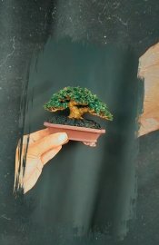 Bonsai mini