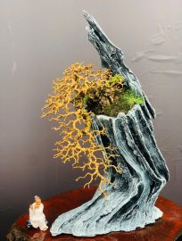 Antidesma acidum bonsai artwork