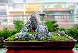 Thanh lý tác phẩm đá Tuyết Hoa khay xưa sưu tầm...