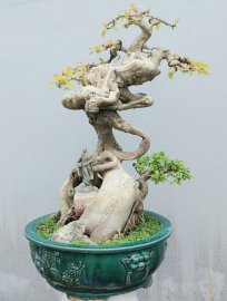 Bodhi tree artwork