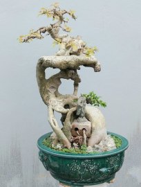 Bodhi tree artwork