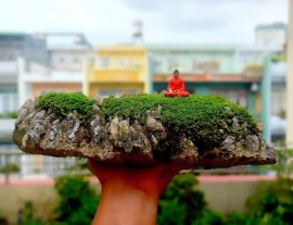 Thanh lý viên đá núi cho ae về thả bể chơi tiểu cảnh...