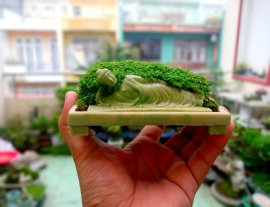 Thanh lý tác phẩm vài trăm k...