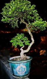 Hải Châu nghệ thuật