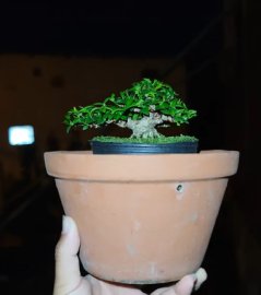 Mai chiếu thủy mini