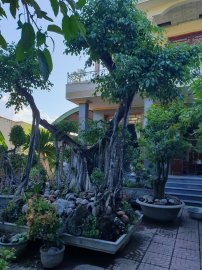 Khu vườn tại Khánh Hòa