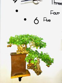 Thanh Vân Lạc Địa