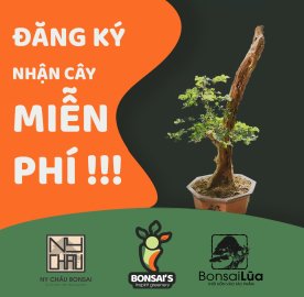 Cây chia sẻ chương trình vườn cộng đồng